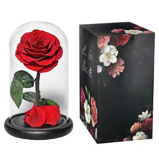 Παντοτινό Τριαντάφυλλο σε Γυάλα 22x14cm