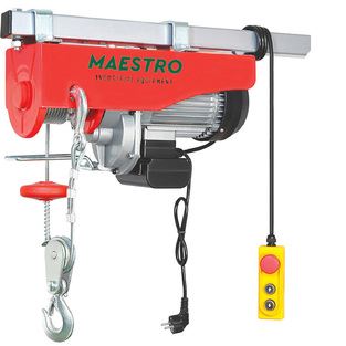 Maestro DHS-300/600G DHS-300/600G ΗΛΕΚΤΡΙΚΟ ΓΕΡΑΝΑΚΙ ΑΝΥΨΩΣΗΣ 300KG / 600KG (ΜΟΝΟ / ΔΙΠΛΟ ΣΥΡΜΑ), 1050W