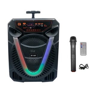 Φορητό Ασύρματο Ηχείο 12″ Bluetooth FM, USB, TF, AUX 30W TWS με Λαβή Μεταφοράς και Ασύρματο Μικρόφωνο BT-1207 Μαύρο